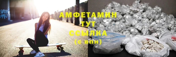 ПСИЛОЦИБИНОВЫЕ ГРИБЫ Алексеевка