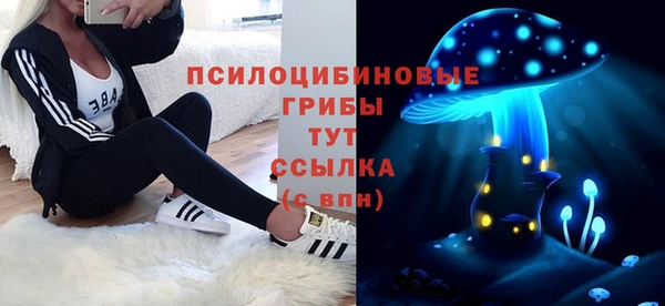 соль ск Рославль